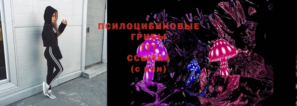 твердый Зерноград