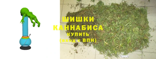 мяу мяу мука Иннополис