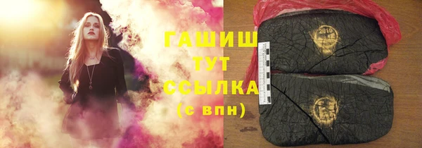 mix Инта