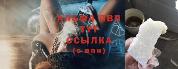 ECSTASY Инсар
