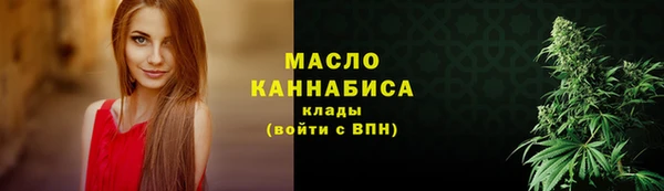 mix Инта