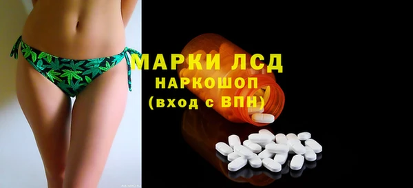мяу мяу мука Иннополис