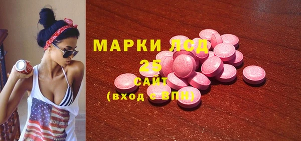 mix Инта