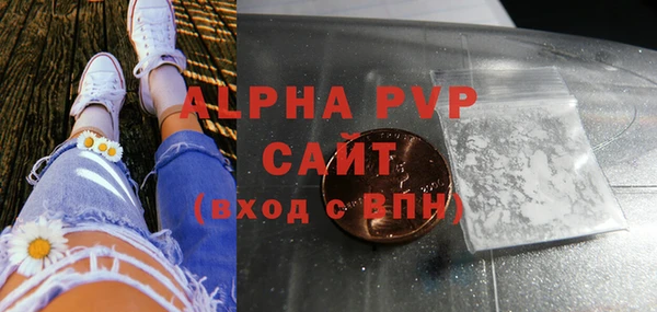 ECSTASY Инсар