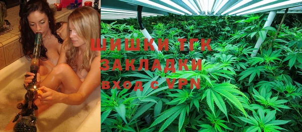 мяу мяу мука Иннополис