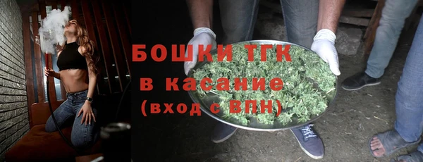 ECSTASY Инсар