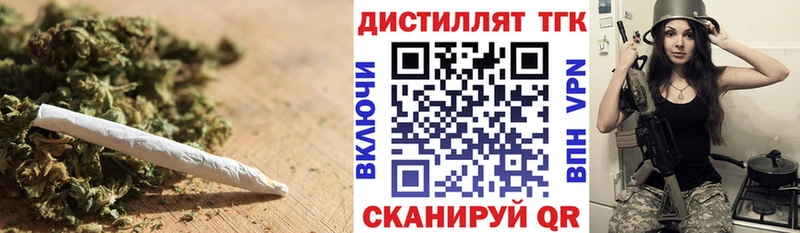 закладка Циолковский ТГК концентрат